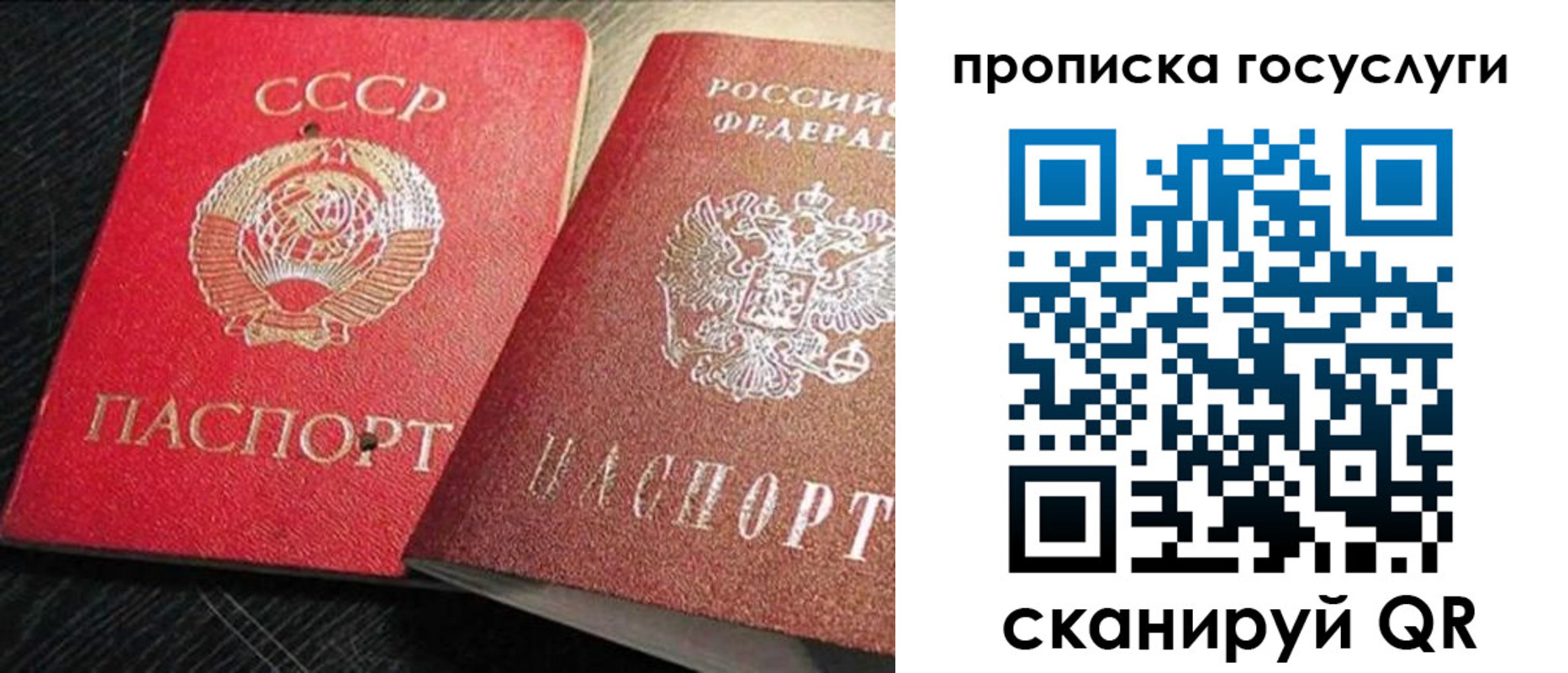 прописка гарантия в Шахтах